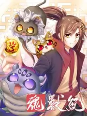 日本免费综艺VS岚
